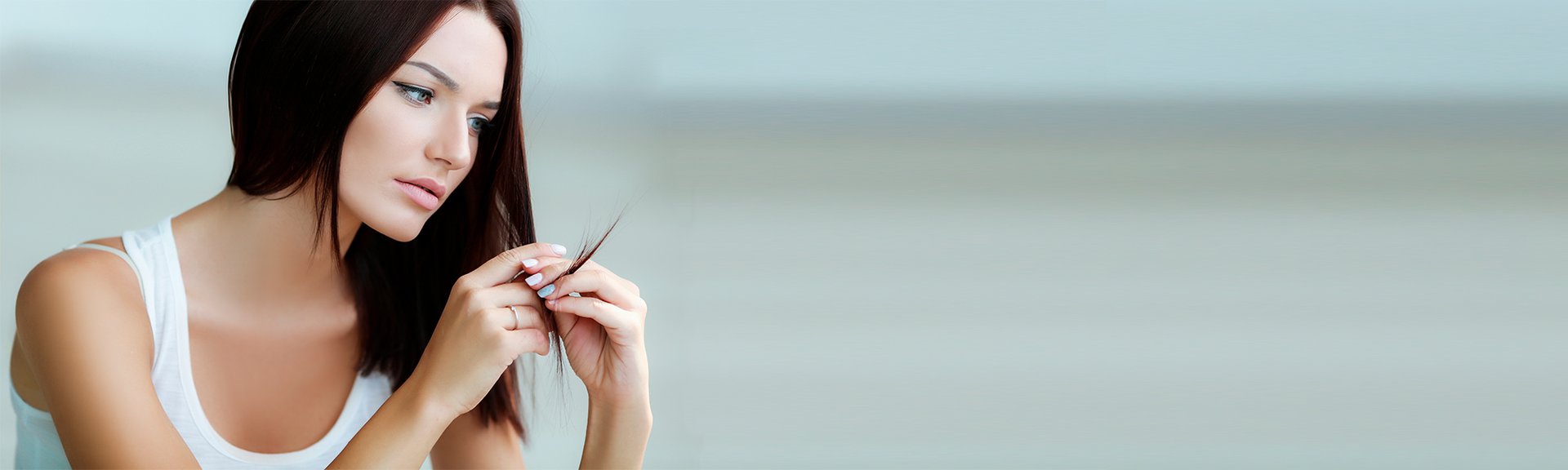 Banner Shutterstock 489397366 2000600